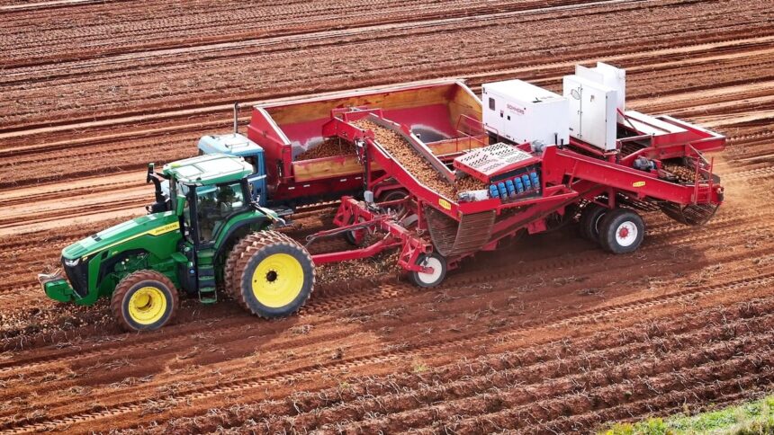 potato-growers-adding-irrigation-after-drought-shrunk-the-2025-crop-in-pei.