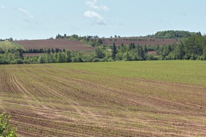 kent-macdonald:-there-is-a-need-for-stronger-land-use-protection-in-prince-edward-island