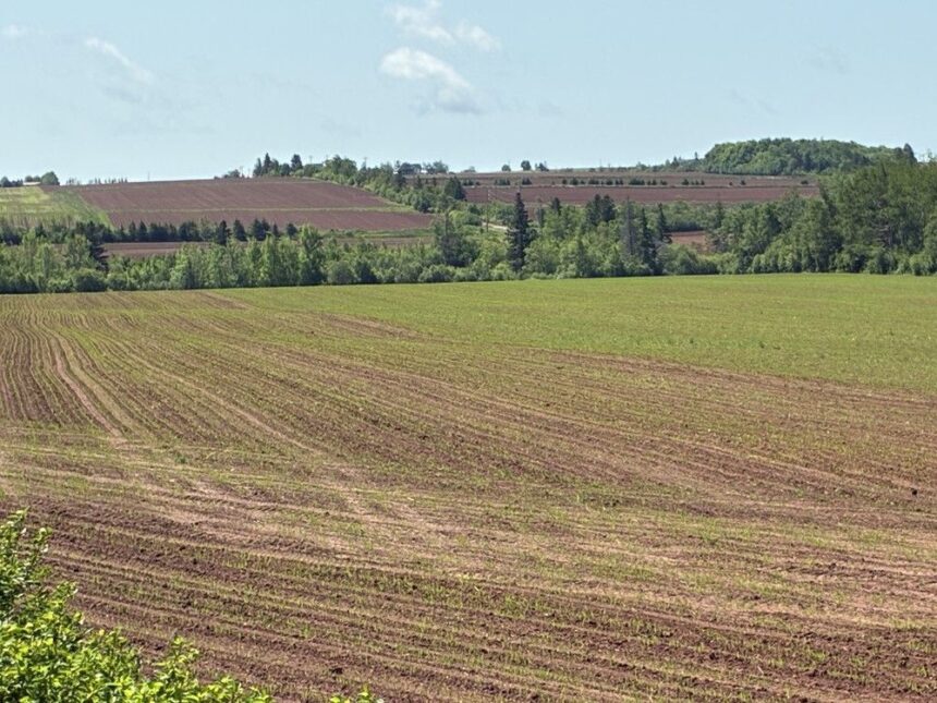 kent-macdonald:-there-is-a-need-for-stronger-land-use-protection-in-prince-edward-island