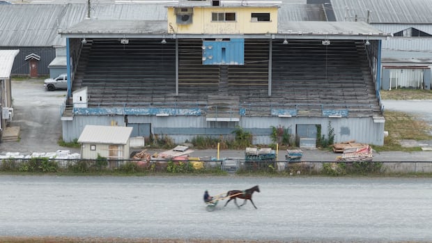 fredericton-orders-nb.-ex-to-demolish-grandstand,-citing-safety