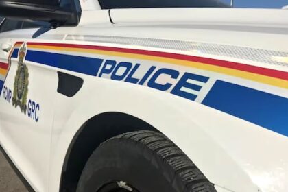 nb.-woman-killed-after-deer-struck-by-oncoming-vehicle-hits-her-car