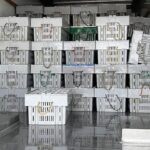 fisheries-rep-calls-for-provincial-intervention-following-lobster-seizures