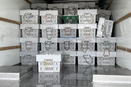 fisheries-rep-calls-for-provincial-intervention-following-lobster-seizures