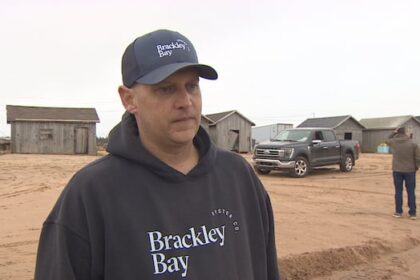 harassment-charges-stayed-against-pei.-oyster-farmer-in-lieu-of-new-trial