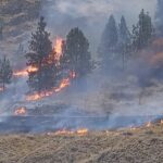 one-arrested-after-fire-breaks-out-in-knox-mountain-park-near-downtown-kelowna