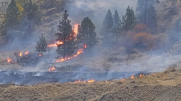 one-arrested-after-fire-breaks-out-in-knox-mountain-park-near-downtown-kelowna