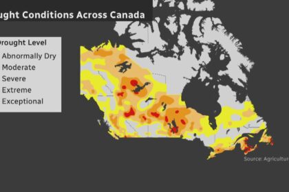 nova-scotians-look-to-alternative-water-sources-as-drought-drags-on
