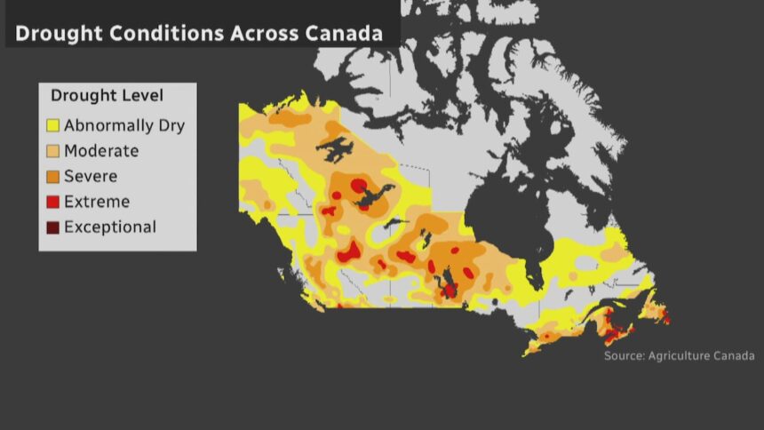 nova-scotians-look-to-alternative-water-sources-as-drought-drags-on