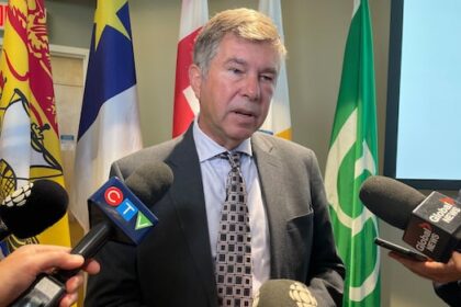 bill-that-would-see-nb.-cabinet-appoint-chief-health-officer-draws-mixed-reaction