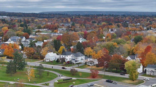 nb.-housing-market-shows-signs-of-cooling-as-sales-slow-and-prices-steady