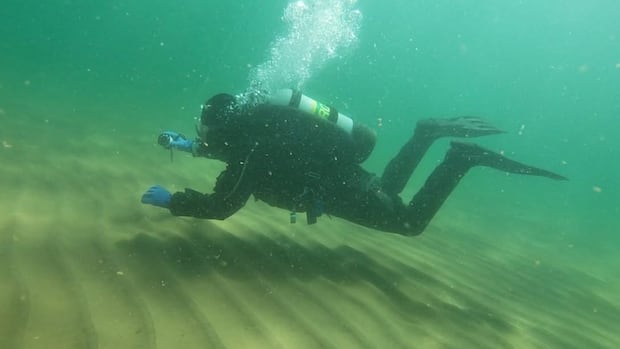 volunteer-scuba-divers-clean-up-debris-and-unearth-some-treasures-beneath-pei.-wharf