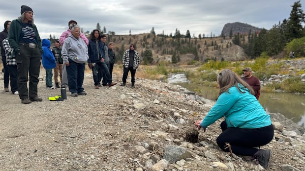 young-‘salmon-warriors’-restore-okanagan-creeks-as-sockeye-return-for-the-first-time-in-a-century