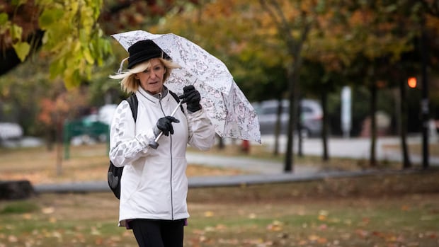 environment-canada-warns-of-snowfall,-high-winds,-power-outages-in-bc.