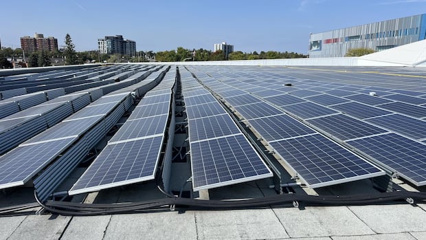 sunny-days-ahead-for-ottawa-solar-projects-as-4-get-council’s-go-ahead