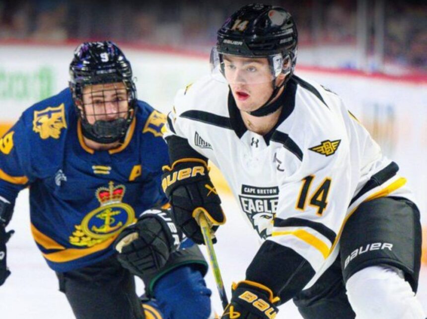 qmjhl:-cape-breton-eagles’-rally-falls-short-in-road-loss-to-halifax-mooseheads