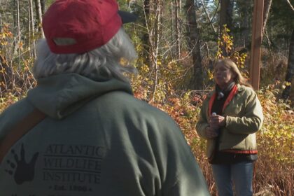 workshopping-to-protect-woods-from-wildfire