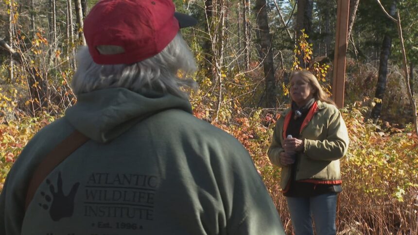 workshopping-to-protect-woods-from-wildfire