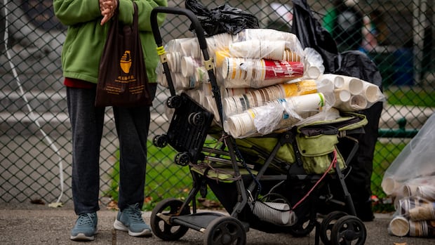 waste-pickers-want-deposits-back-on-more-materials-and-its-not-just-about-the-money