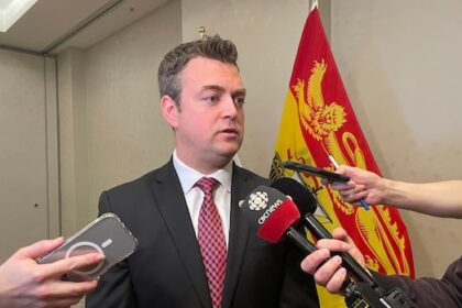 nb.-wont-be-part-of-supreme-court-case-on-suspending-charter-rights