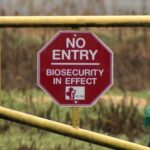 avian-flu-strikes-farms-in-bc.’s-fraser-valley,-with-7-outbreaks-this-month