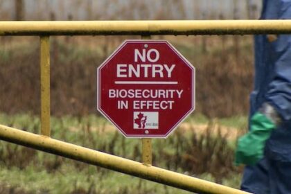 avian-flu-strikes-farms-in-bc.’s-fraser-valley,-with-7-outbreaks-this-month