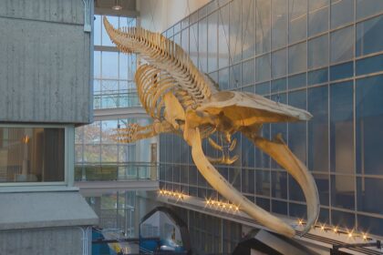 halifax-research-aquarium-prepares-to-open-to-the-public
