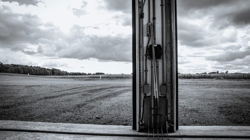 prisonlabourunder-scrutiny-as-inmates-producemilkforpublic-consumption