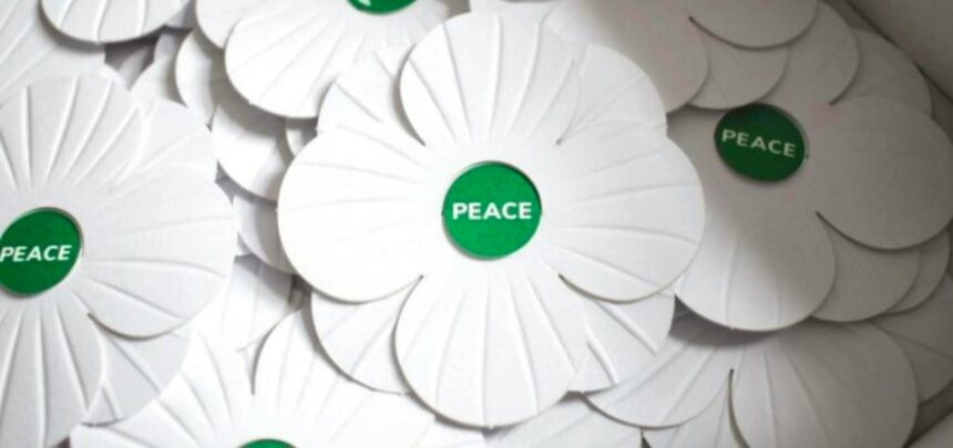 cape-breton-anti-war-group-launching-white-poppy-campaign