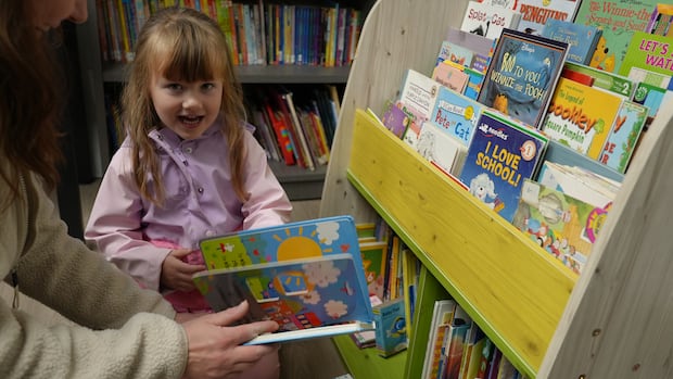 nivervilles-first-lending-library-runs-on-volunteers-and-trust