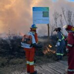 good-burn:-prescribed-fire-is-medicine-for-sask.-grasslands