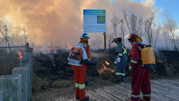 good-burn:-prescribed-fire-is-medicine-for-sask.-grasslands
