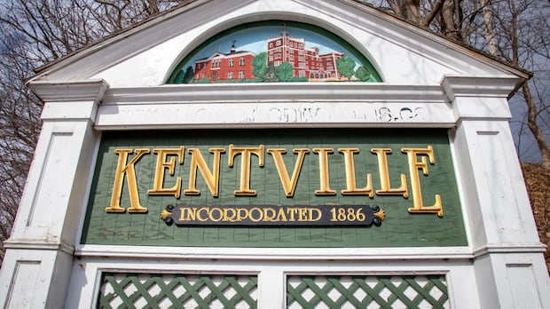 merging-equity,-accessibility-committees-has-shaken-trust-in-town,-say-kentville-residents