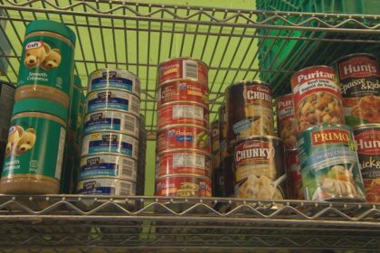 nearly-of-ns.-food-bank-users-employed:-report