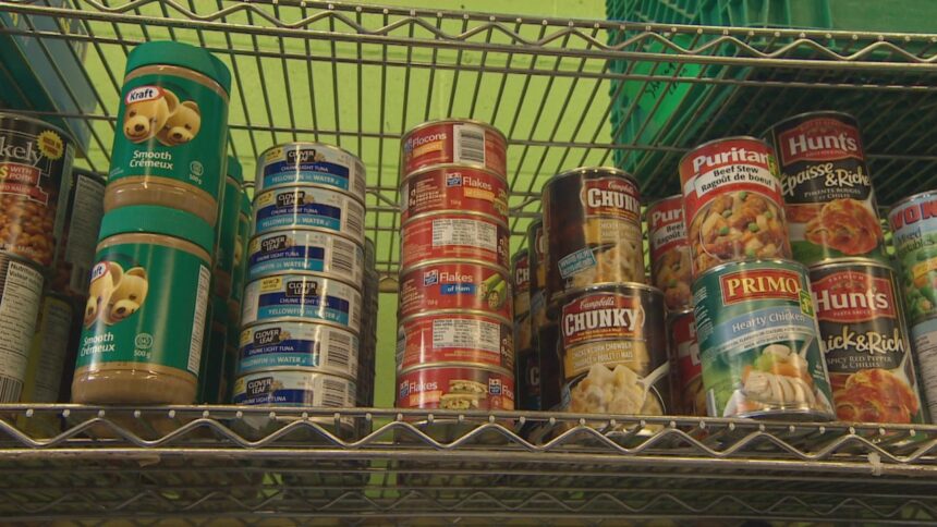 nearly-of-ns.-food-bank-users-employed:-report