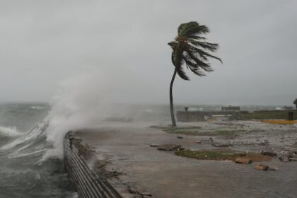 retired-halifax-firefighter-weathering-hurricane-melissa-in-jamaica