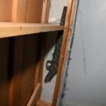 crown-drops-jailhouse-informant-from-witness-list-at-saskatoon-murder-trial