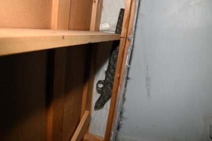 crown-drops-jailhouse-informant-from-witness-list-at-saskatoon-murder-trial