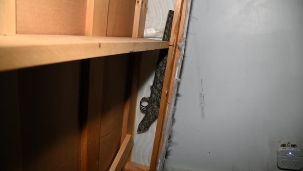 crown-drops-jailhouse-informant-from-witness-list-at-saskatoon-murder-trial