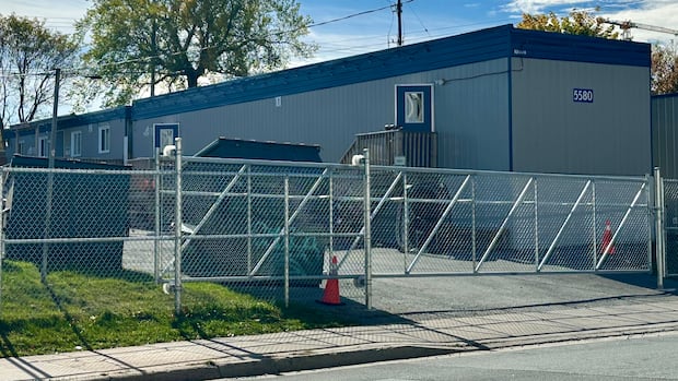 intakes-resume-at-halifax-area-shelters-months-after-surprise-split-from-operator