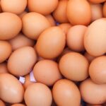 sask.-town’s-food-bank-scrambles-to-distribute-300,000-egg-donation
