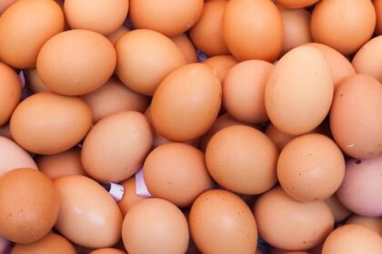 sask.-town’s-food-bank-scrambles-to-distribute-300,000-egg-donation