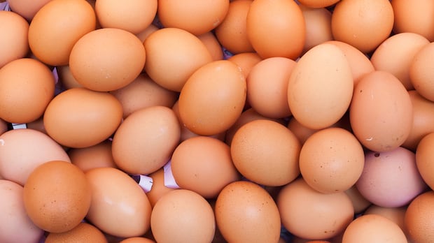 sask.-town’s-food-bank-scrambles-to-distribute-300,000-egg-donation