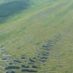 ontario,-webequie-first-nation-sign-$39m-infrastructure-deal-related-to-ring-of-fire