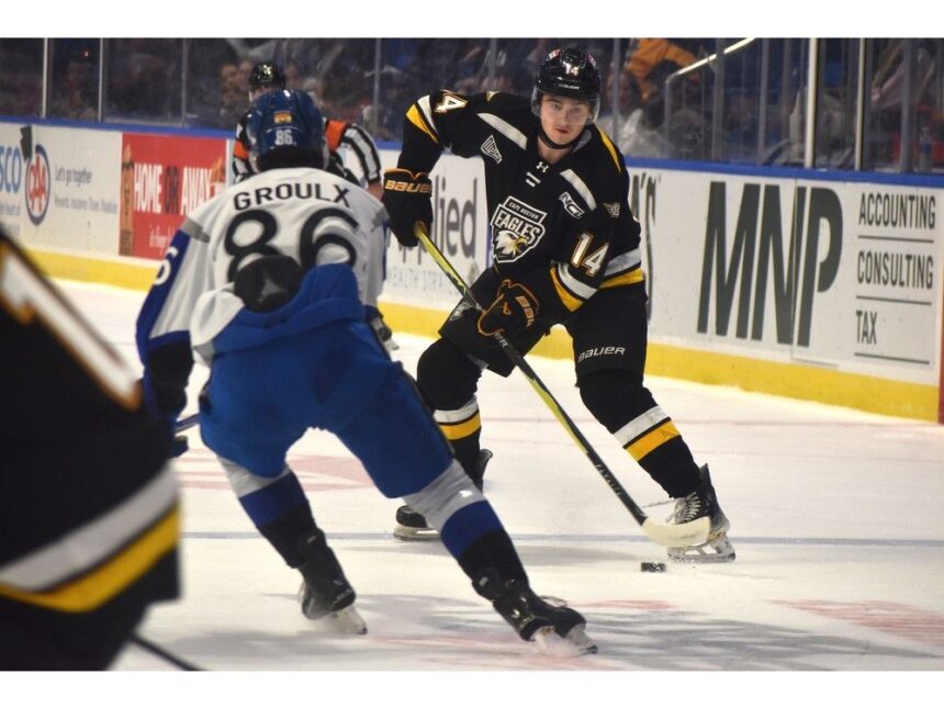 qmjhl:-cape-breton-eagles-lack-of-effort-leads-to-shutout-loss-to-saint-john-sea-dogs-at-home