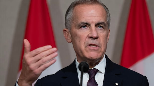 mps-urge-carney-government-to-release-special-agency-governing-documents