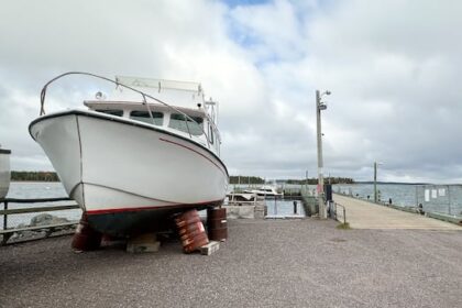 man-accused-of-cross-canada-flight-from-police-says-he-was-‘in-fear-of-my-life’