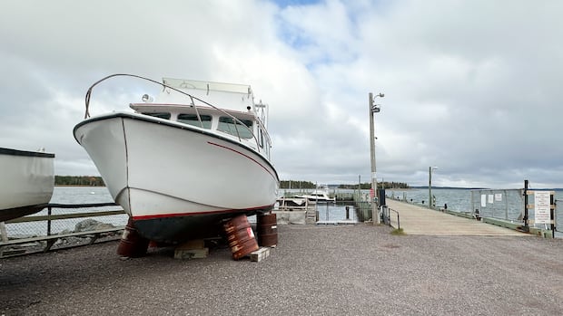 man-accused-of-cross-canada-flight-from-police-says-he-was-‘in-fear-of-my-life’