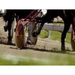 harness-racing:-weather-pushes-weekend-card-to-sunday-at-northside-downs-in-cape-breton