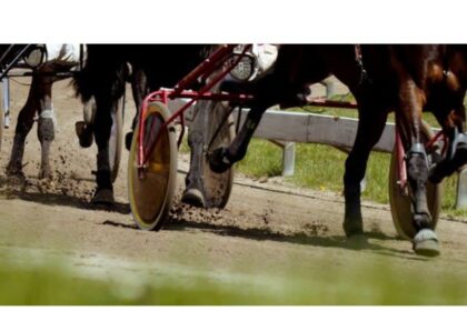 harness-racing:-weather-pushes-weekend-card-to-sunday-at-northside-downs-in-cape-breton