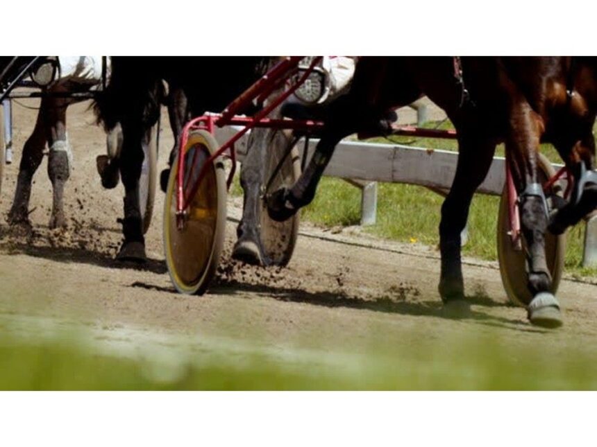 harness-racing:-weather-pushes-weekend-card-to-sunday-at-northside-downs-in-cape-breton